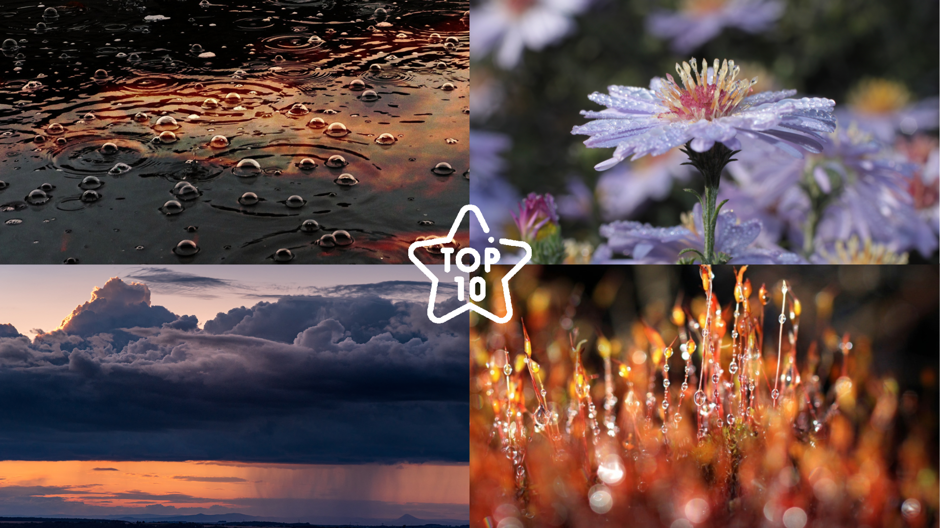 TOP 10 fotek našich čtenářů - téma Deštivý den