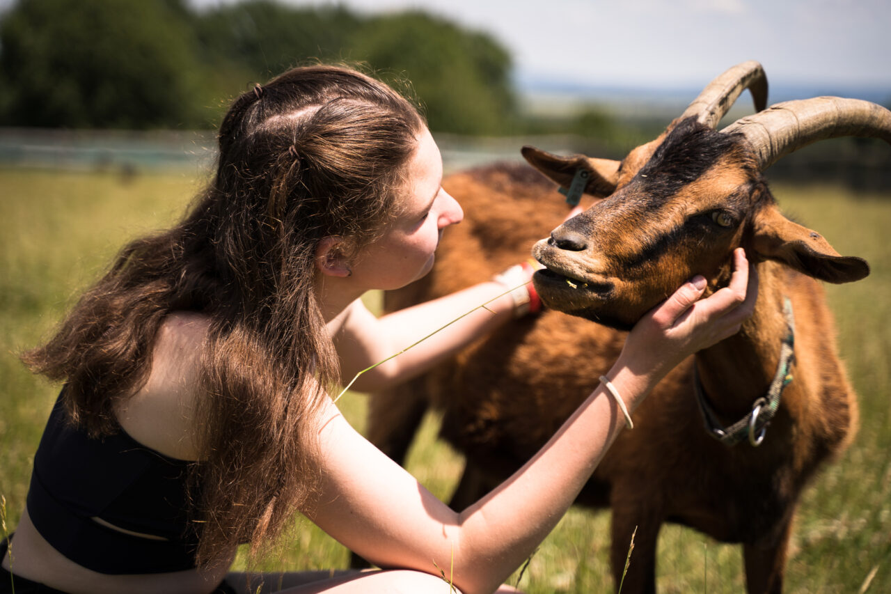 Focení zvířat na farmě – koza na azylové farmě