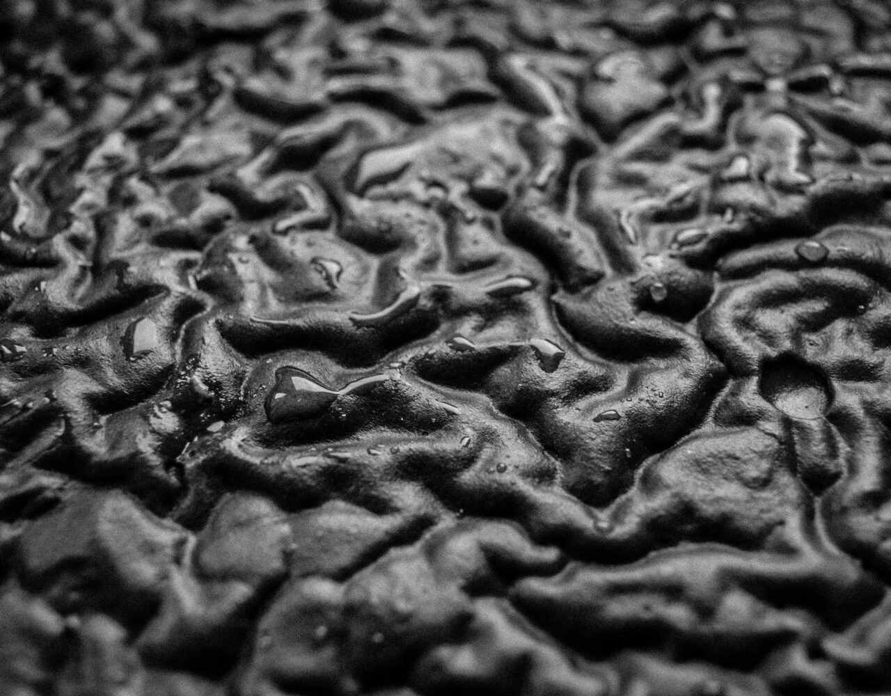 Makrofotografie bez drahé techniky: detail