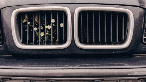 5 důvodů, proč fotografovat dlouhodobě