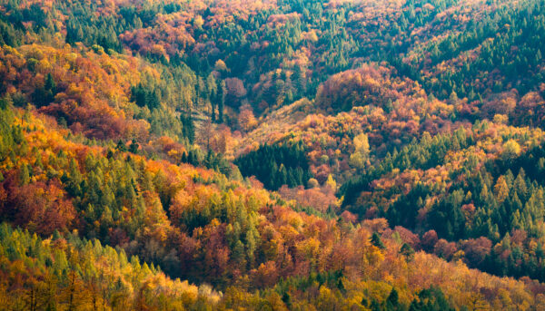 6 nejlepších motivů při focení podzimní krajiny