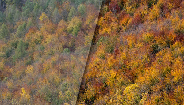 6 užitečných úprav podzimní krajiny