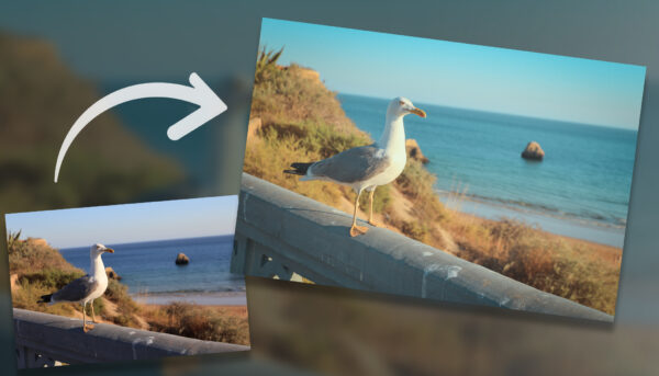 Jak v Zoner Studiu vytvořit atmosféru analogových fotek