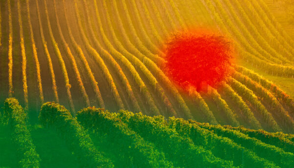 Tajemství neobyčejných fotek