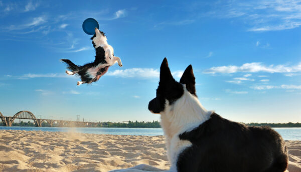 Fotíme objekt v pohybu: Jak zachytit hezkou fázi