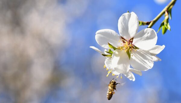 Jak vydělávat na fotobankách: Reálné zkušenosti fotografa
